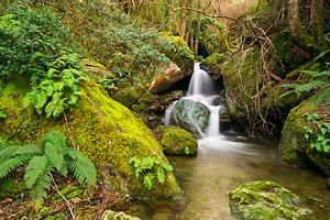 Cascades dans les rivières de Haute Corse