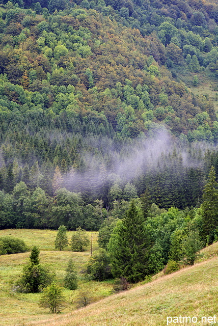 Image d'un paysage d'automne dans la valle de la Valserine