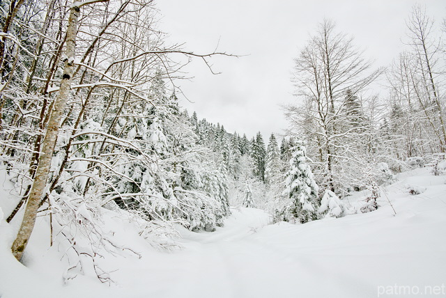 Photographie d'un paysage enneig dans la valle de la Valserine