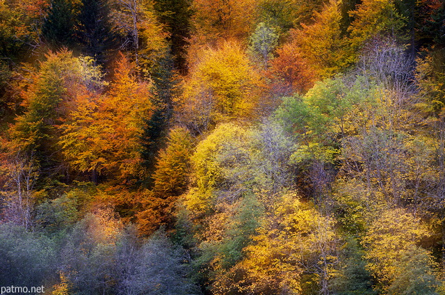Double exposition sur les couleurs d'automne de la fort de Bellevaux
