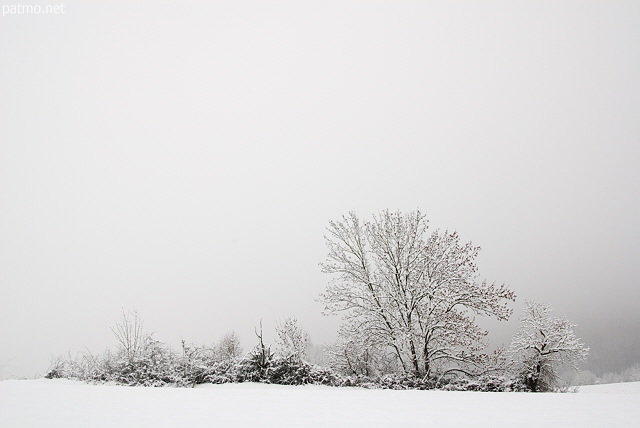 Image d'un paysage rural sous la neige et le brouillard prs de Chaumont en Haute Savoie