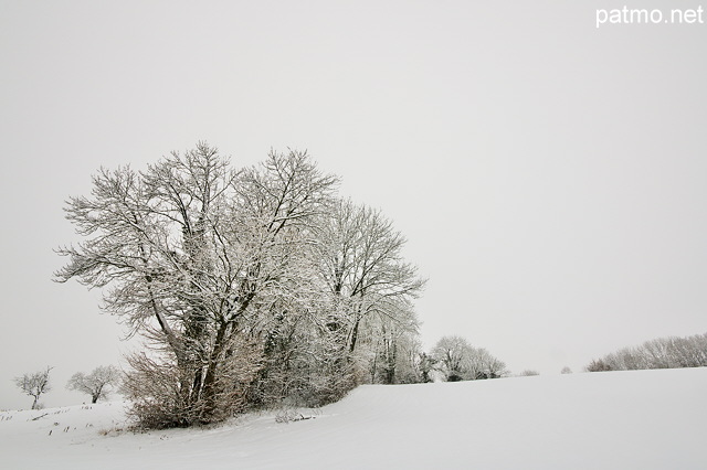 Photographie d'un paysage rural sous la neige et le brouillard prs de Chaumont en Haute Savoie