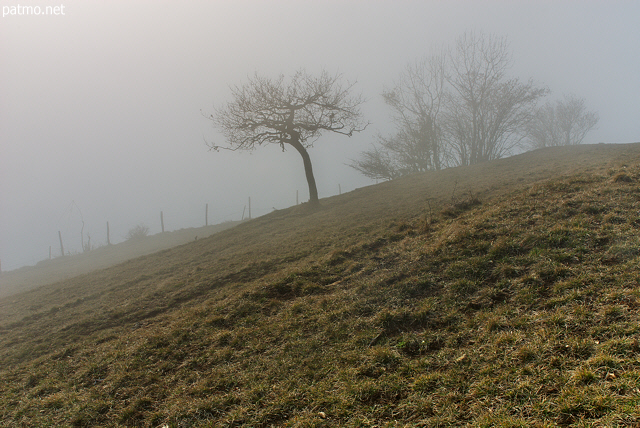 Photo d'un paysage rural dans le brouillard sur la crte du Vuache en Haute Savoie.