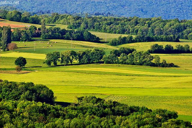 Photo d'un paysage rural dans la rgion de Frangy en Haute Savoie