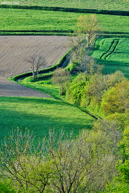 Photograph of the french countryside with green springtime colors