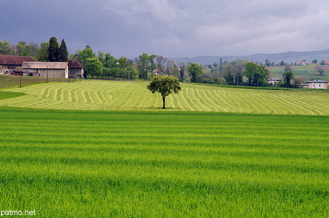 Photographie d'un paysage rural sous les nuages prs de Sillingy en Haute Savoie