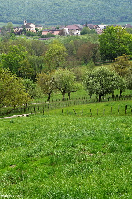 Image d'un paysage  campagnard prs de Sillingy en Haute Savoie
