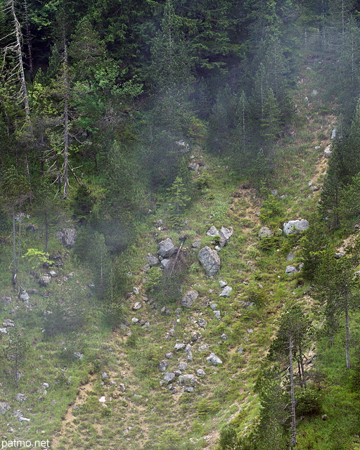 Photographie de fort et d'boulis ds  l'rosion dans les montagnes du Haut Jura