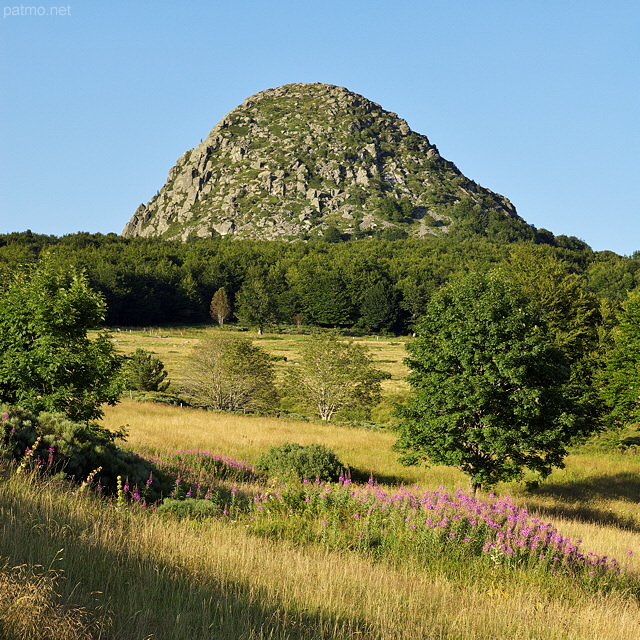 Photo du Mont Gerbier de Jonc en t - Ardche
