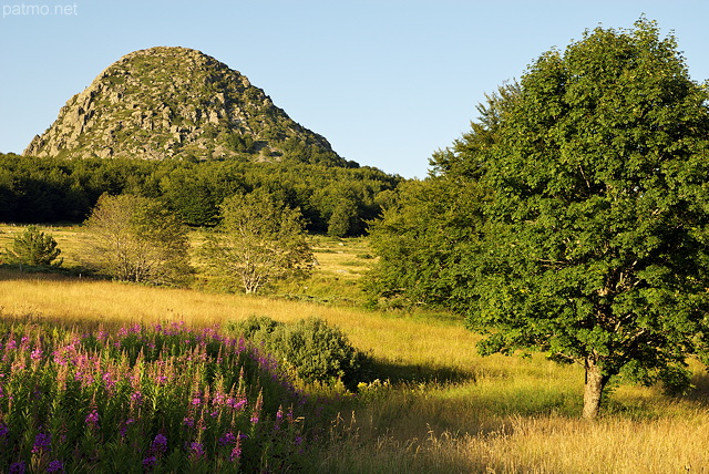 Photo d'un paysage d't dans la Montagne Ardchoise autour du Mont Gerbier de Jonc