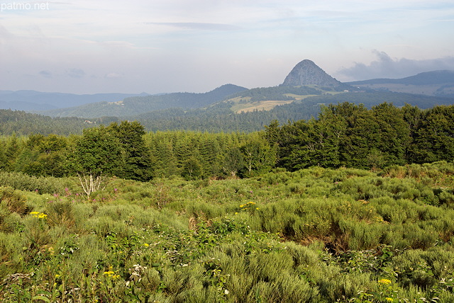 Photographie d'un paysage de la Haute Ardche autour du Mont Gerbier de Jonc