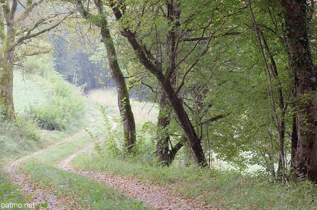 Image d'un chemin   travers la campagne  Arcine en Haute Savoie