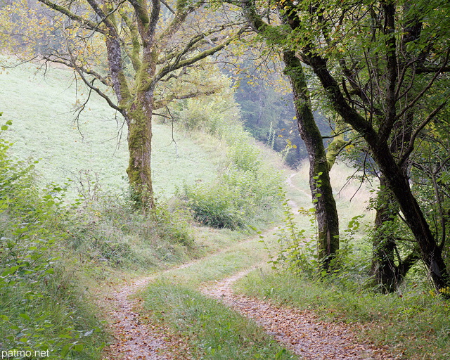 Photo d'une chemin  travers champs prs d'Arcine en Haute Savoie