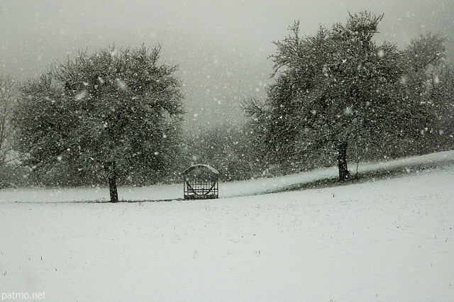 Image d'une averse de neige  la campagne