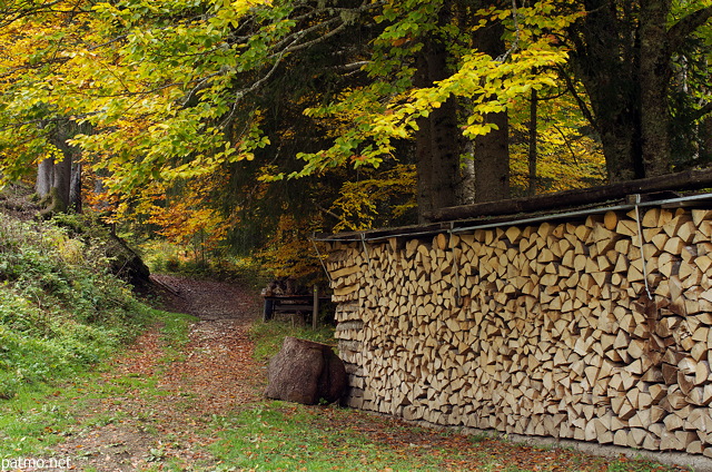 Photo d'un tas de bois de chauffage empil au bord d'un chemin dans la fort de Bellevaux