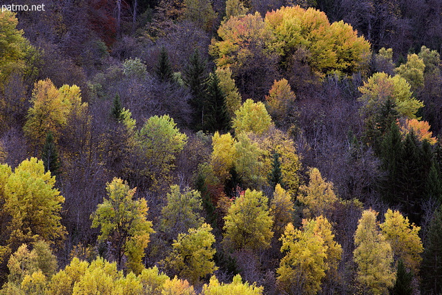 Image des couleurs d'automne sur les forts des montagnes de la Maurienne