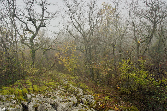 Image du lapiaz de Chaumont en Haute Savoie sous la brume d'automne