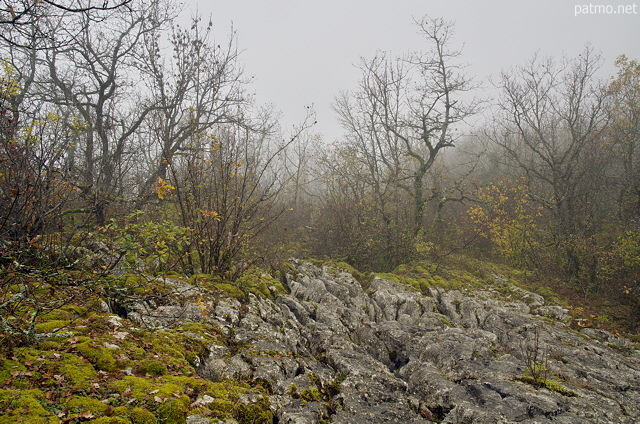 Photo de lapiaz dans le brouillard  Chaumont en Haute Savoie
