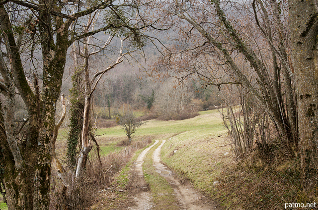 Image d'un chemin rural au pied de la montagne du Vuache  Savigny