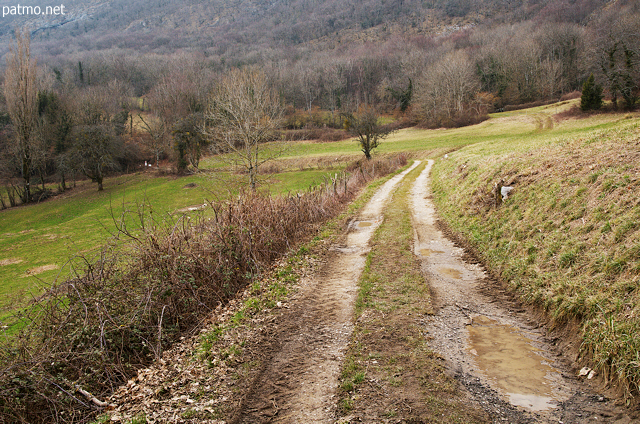 Photo d'un chemin  travers champs au pied de la montagne du Vuache