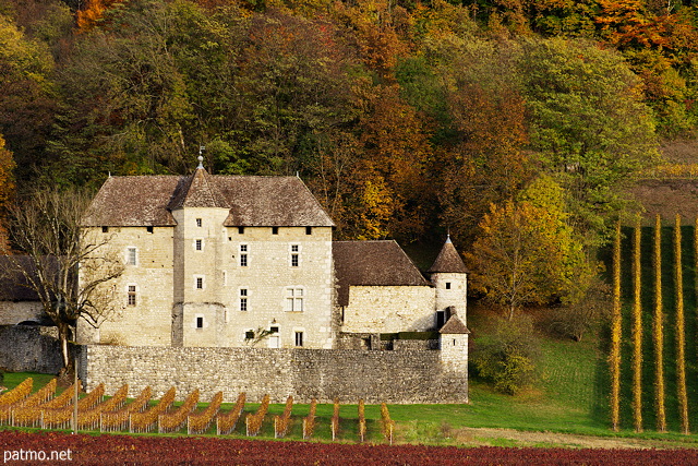 Picture of autumn colors around mecoras castle in Savoie vineyard