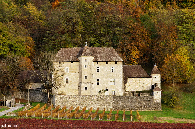 Photo of the autumn in Chautagne vineyard around Mecoras castle