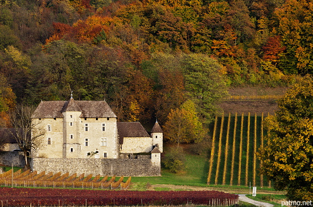 Image des vignes de Chautagne prs du Chteau de Mcoras  Ruffieux