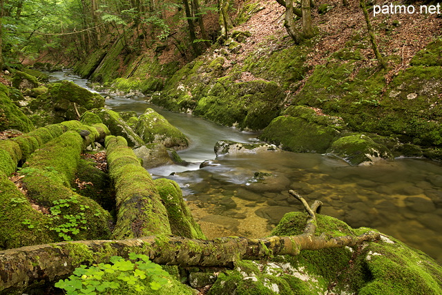 Photo du lit de la rivire de la Valserine dans les montagnes du Parc Naturel Rgional du Haut Jura