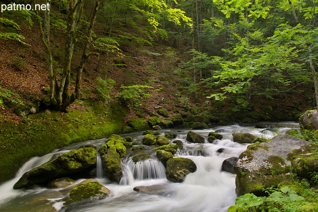 Photo de petites cascades dans la rivire de la Valserine dans le Parc Naturel Rgional du Haut Jura