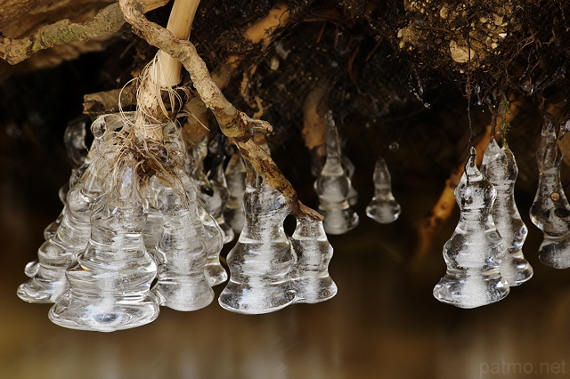 Photo de stalactites de glace en forme de clochettes dans la rivire de la Valserine