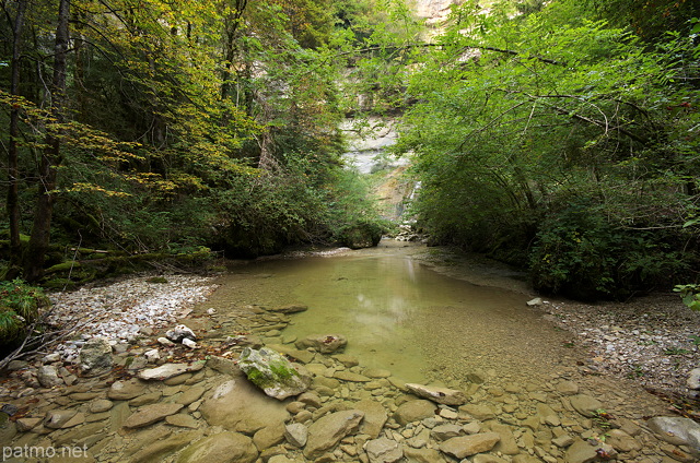 Photographie d'un ruisseau  dans la fort du Haut Jura en aval de la cascade de la Queue de Cheval