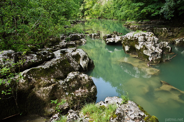 Photographie de rochers submergs ou mergeant dans les Pertes de la Valserine