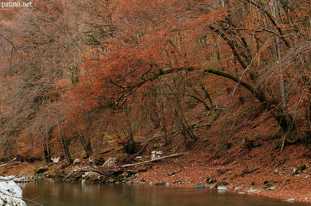 Photo d'un automne rouge sur les bords du Fier