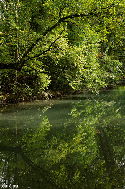 Photo d'arbres et de leurs reflets sur le Thiou  Annecy