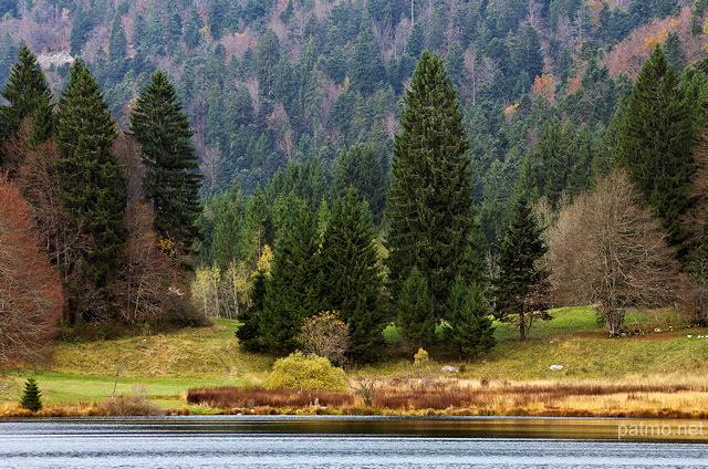 Image des couleurs d'automne au bord du lac Gnin dans le Haut Bugey