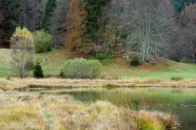 Photo de l'automne sur la vgtation autour du lac Gnin dans le Haut Bugey