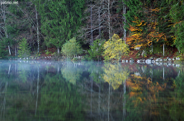 Photo d'un matin d'automne sur les berges du lac Gnin