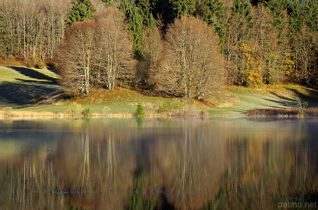 Photographie des couleurs d'automne sur les rives du lac Gnin