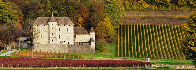 Photo du Chteau de Mcoras et du vignoble de Chautagne en automne