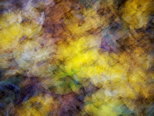 Image abstraite de feuilles d'automne sur le sol de la fort