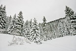 Image de neige sur les montagnes de la Valserine dans le Parc Naturel Rgional du Haut Jura