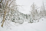 Photographie d'un paysage enneig dans la valle de la Valserine