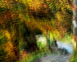 Photographie abstraite d'un chemin d'automne en fort
