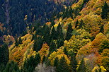 Photo de l'automne en montagne  Bellevaux en Haute Savoie