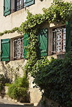Image de vigne vierge sur la faade d'une maison du village de Cogolin