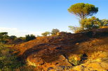 Photo de la Plaine des Maures dans la lumire du soleil couchant
