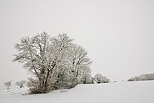 Photographie d'un paysage rural sous la neige et le brouillard prs de Chaumont en Haute Savoie