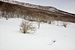 Photo d'un paysage enneig dans le Massif des Bauges