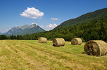 Image d'un paysage rural du Massif des Bauges au Col des Prs