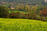Image d'un champ de colza et des couleurs d'automne  Chaumont en Haute Savoie
